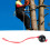 Baumklettern Baumpfleger Retriever Ball Seil Guide 12