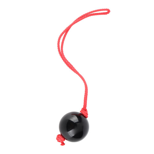 Baumklettern Baumpfleger Retriever Ball Seil Guide 1