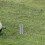 2pcs corner flag spring base soccer training ground nail holder 8