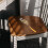 counter walnut Buddhist clicker 8