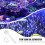 plastic oil film processor aquarium protein skimmer filter 9