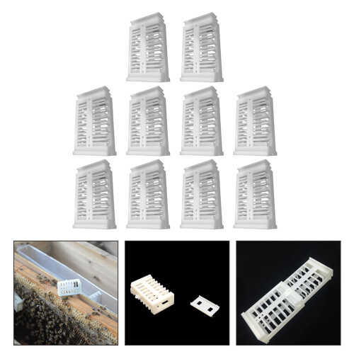 10pcs plastic cages for beekeeping and rearing 1