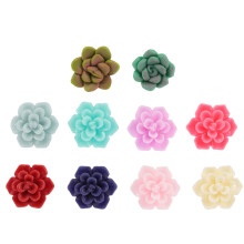 10pcs succulent plant ear studs for girls