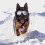 pet dog cat uv protective windproof sunglasses with adjustable strap 9