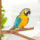 2St Vogelstandstok Staander Lichtbruin 6