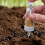 Seed Planter Tool Upgrade Portable Handheld Multifunctional Small Seed Dispenser For Tiny Seeds 1Pcs 4