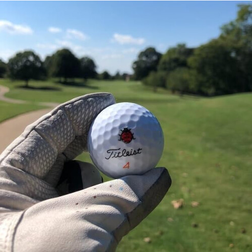 Golfdotz | Ladybug | Golfbollmarkörer golftillbehör Golfboll Identitetsmarkör 2