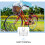 1St Vouwbare Fietsmand Praktische Opbergcontainer 8