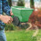 Handheld Sowing Tool Adjustable Fertilizer Applicator For Small Yards Year Round 5