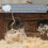 Couches Papier Pour Hamster Rongeurs Blancs Antimicrobien 2