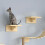 Cat Hammock Climbing Platform Wall Platform Small Solid Wood Cat Climbing Frame A 2