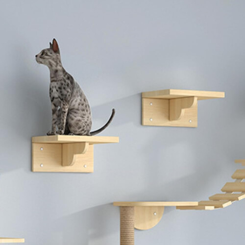 Cat Hammock Climbing Platform Wall Platform Small Solid Wood Cat Climbing Frame A 1