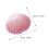 2Pcs Simulation Shell Photography Props With Storage Box 2