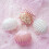 2Pcs Simulation Shell Photography Props With Storage Box 4