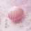 2Pcs Simulation Shell Photography Props With Storage Box 5