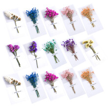 20pcs thank you cards with dry flowers, assorted colors