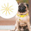 10Pcs Yellow Heart Pattern Adjustable Pet Collar Pvc+pp for Dogs Cats 4