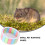 Roue Hamster Colorée Exercice Facile À Fixer 11