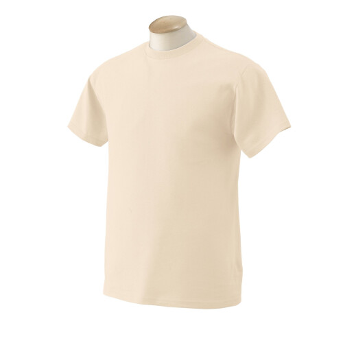 Fruit Of The Loom Vuxen HD-trja i bomull - COOL MINT - XL(D0102H7DB1T) 1