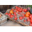 Supermoss (26914) Moss espanhol preservado Natural 8oz (200 polegadas c   bicas) 3