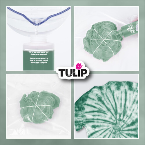 Tulip One-Step Dye Kits - Sage 1