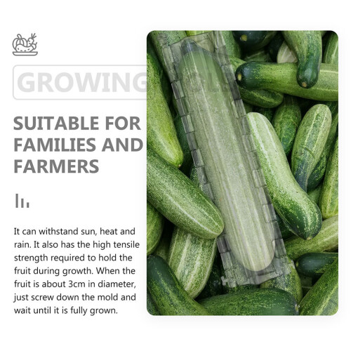 2 Garten Gemüseform Für Fruchtformung 1