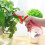 6Pcs Portable Empty Spray Bottle For Plants Refillable Watering Tool 4