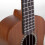 Ukelele de concierto de caoba C   rdoba 20cM 3