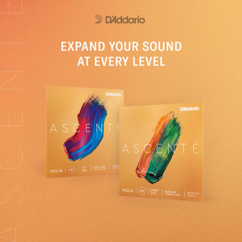 V   stup D'Addario 1