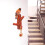 Evige Resin Haak Voor Sleutels En Kleding 11