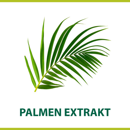 Palmolive for Men Classic Shaving Cream with Palm Extract 100ml 1