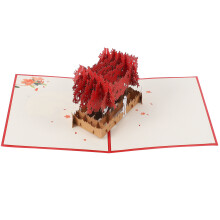 3D Kaarten Voor Valentijnsdag Met Liefdesboodschap