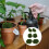 6Pcs Simulated Moss Stones For Plant Wall Microlandscape Green 5