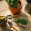 6Pcs Simulated Moss Stones For Plant Wall Microlandscape Green 9