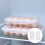 1Refrigerator Egg Organizer Plastic Multi-Compartiment Box 9