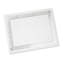 Gartner Studios Silver Foil Certyfikat Papier bialy pergamin 210 GSM 8.5