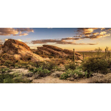Awert Reptile Habitat Baggrund Blue Sky Oasis Cactus Sun and Desert Terrarium Baggrund 72x18 inches Holdbar polyester baggrund