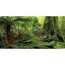 Awert 48x24 inches skov terrarium baggrund sten gr?n enor