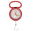 hanging scale portable spring fish luggage weight scale with hook 1