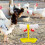 10Pcs Reusable Dual Head Automatic Poultry Drinkers Stainless Plastic 8