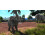 Zoo Tycoon: Coleção Definitiva de Animais PC DVD 3