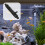 ABS Ventiel Visfilter En Waterstroom Splitsing 5