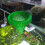 10St Aquarium Visvoeder Cup Met Zuignap, En Transparant 6