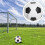 convenient small soccer ball portable for training 3