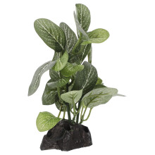 aquarium landscape ornament simulation fish tank plant
