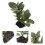 aquarium landscape ornament simulation fish tank plant 7