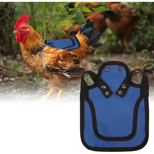Hen Saddle Poultry Vest Jacket, Adjustable Straps, Blue Chicken Protector for Pet Hens 1