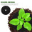 20pcs round anti grass fabric rings non-woven tree weed control 9