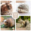 rabbit hay feeder bunny hanging feeding rack plastic manger 8