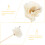 5 stk. Aroma-Rattan-Blumen, Duftstäbchen, Wohnaccessoires (Beige) 9